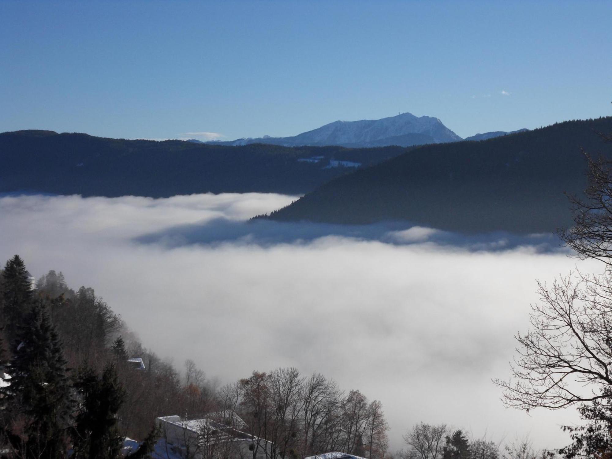 Fewo In Der Weinleiten Мильстат Экстерьер фото